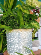Load image into Gallery viewer, Dragonfly Galvanized Metal Planter with Copper Accent