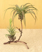 Load image into Gallery viewer, Double Nest Air Plant Holder