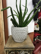 Load image into Gallery viewer, 5&quot; Tall Classic Buddha Succulent Face Planter Cement