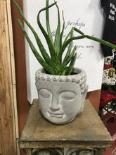 Load image into Gallery viewer, 5&quot; Tall Classic Buddha Succulent Face Planter Cement