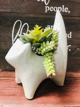 Load image into Gallery viewer, White Cat Planter for succulents small ceramic Retro kitten flower pot