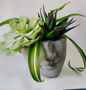 Cement Man Head Planter |  Face Shaped Flower Pot 7"
