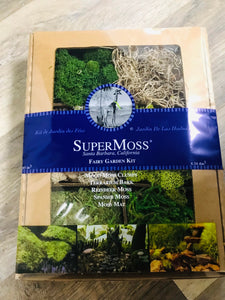 SuperMoss Fairy Garden Kit | DIY Make our own Fairy Garden | Terrarium