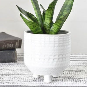 5" White Ceramic Glazed Footed Planter with a textured design