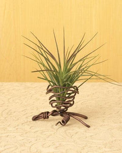 Copper Twisted Metal Stand for Single Air Plant
