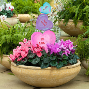 Valentine's Day Candy Hearts Sayings Garden Stake for you Porch Pot