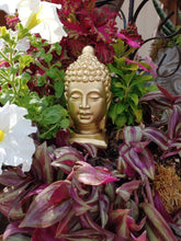 Load image into Gallery viewer, Small Buddha | 5&quot; | concrete head - accent piece for home decor - plant - planter accent piece