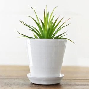 4.5" Sleek White Glazed Ceramic Planter with Saucer