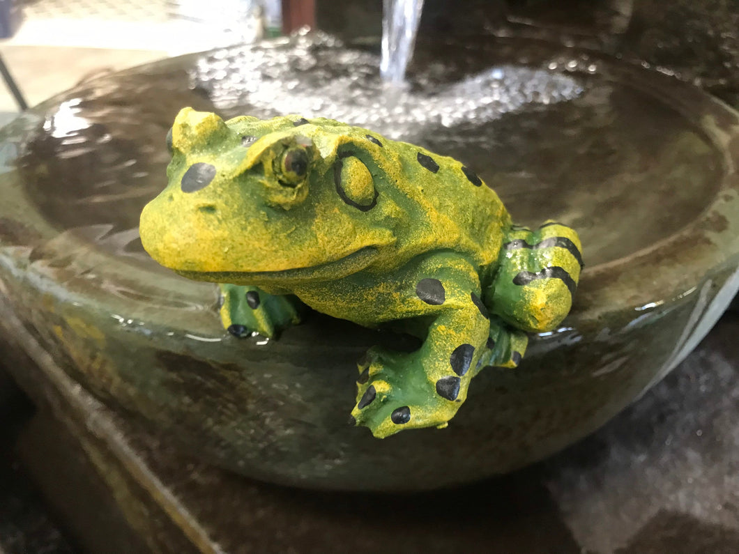 Resin Frog Toad Garden Art Plant accent Decor | Indoor Outdoor