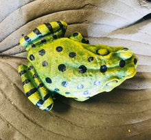 Load image into Gallery viewer, Resin Frog Toad Garden Art Plant accent Decor | Indoor Outdoor