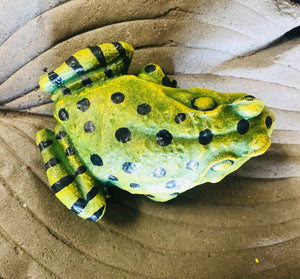 Resin Frog Toad Garden Art Plant accent Decor | Indoor Outdoor