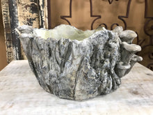 Load image into Gallery viewer, 7&quot; Large Shallow Stump indoor Planter