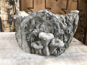 7" Large Shallow Stump indoor Planter