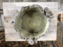 Load image into Gallery viewer, 7&quot; Large Shallow Stump indoor Planter