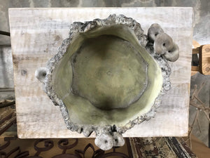 7" Large Shallow Stump indoor Planter