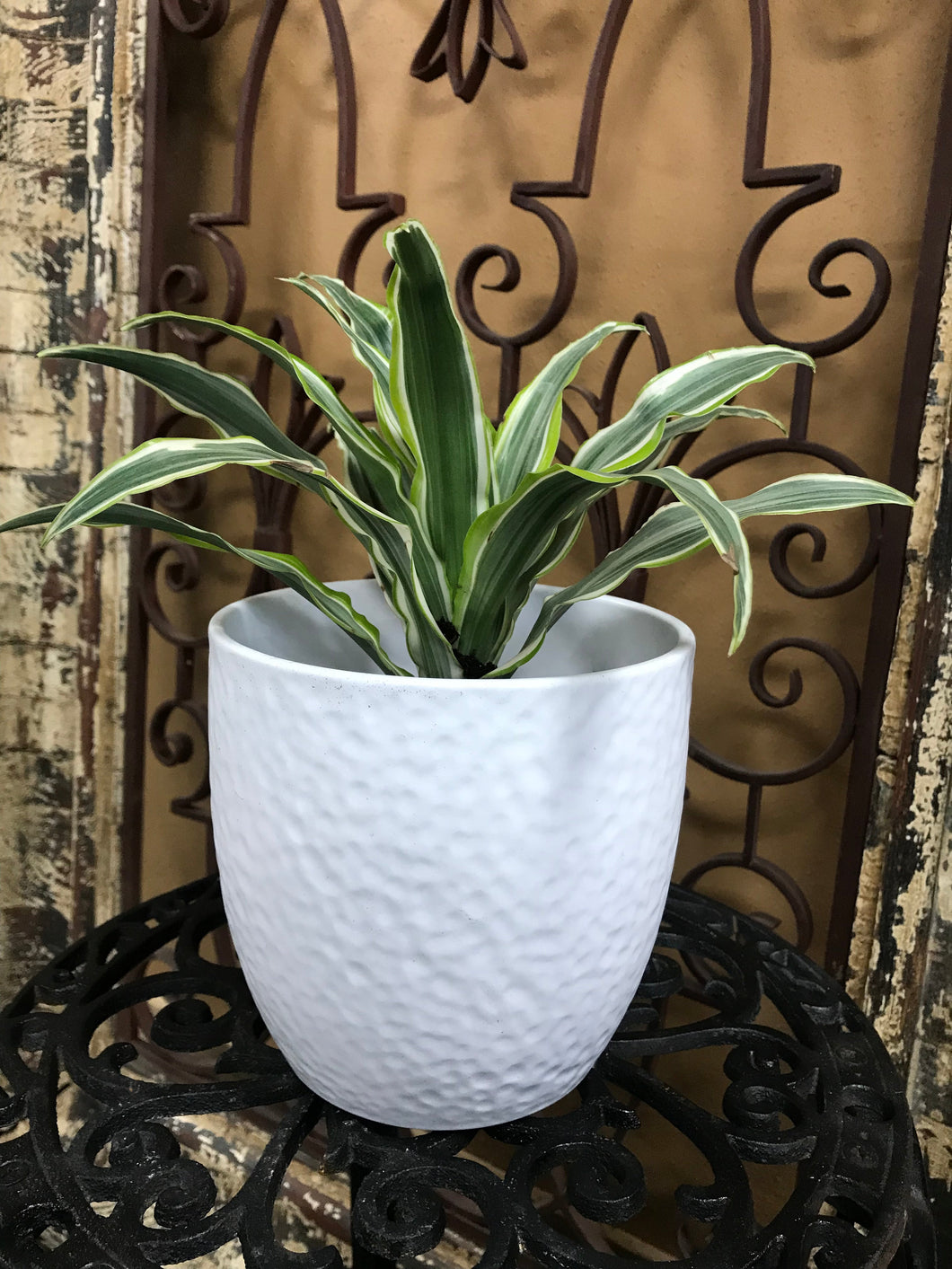Ceramic Hammered Look White Planter | 6