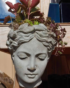 Greek lady Wall Mount head planter for succulents or faux greens