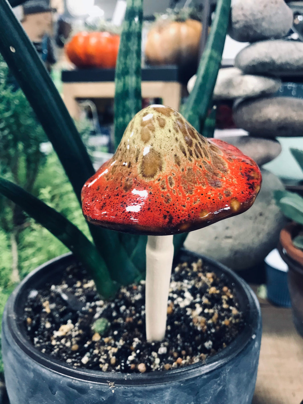 Ceramic Mushrooms for indoor or outdoor planters or garden