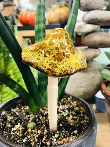 Ceramic Mushrooms for indoor or outdoor planters or garden