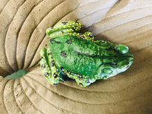 Load image into Gallery viewer, Resin frog toad garden art plant accent decor | indoor outdoor