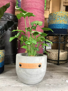 Wood indoor Planters with a Sassy Leather Tag