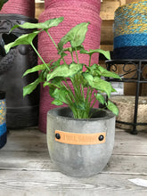 Load image into Gallery viewer, Wood indoor Planters with a Sassy Leather Tag