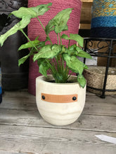 Load image into Gallery viewer, Wood indoor Planters with a Sassy Leather Tag