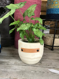 Wood indoor Planters with a Sassy Leather Tag