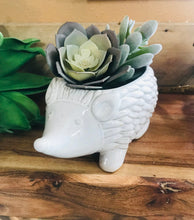 Load image into Gallery viewer, Hedgehog Mini Ceramic Indoor Planter Pot Succulent Herbs Flowers Hedgehog Lover&#39;s Gift
