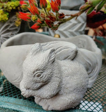 Load image into Gallery viewer, Adorable Squirrel Planter Pot Indoor Outdoor Unique Decor