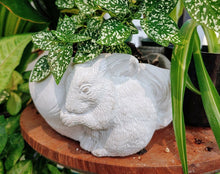 Load image into Gallery viewer, Adorable Squirrel Planter Pot Indoor Outdoor Unique Decor