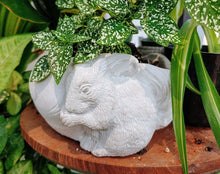 Load image into Gallery viewer, Cement Squirrel Planter Pot indoor Outdoor  Succulent Planter