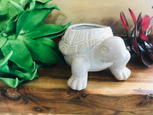 Load image into Gallery viewer, Curious Ceramic Turtle Succulent Planter Pot