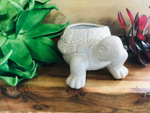 Load image into Gallery viewer, Small Ceramic Turtle Succulent Cactus Planter Pot Turtle Lover&#39;s Gift