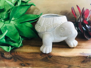 Curious Ceramic Turtle Succulent Planter Pot