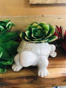 Small Ceramic Turtle Succulent Cactus Planter Pot Turtle Lover's Gift