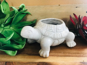 Small Ceramic Turtle Succulent Cactus Planter Pot Turtle Lover's Gift