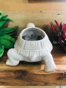 Small Ceramic Turtle Succulent Cactus Planter Pot Turtle Lover's Gift