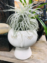Load image into Gallery viewer, 6&quot; tall modern ceramic face planter pot succulents vase
