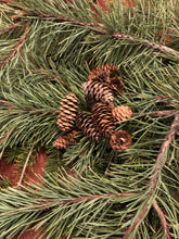 Load image into Gallery viewer, 50 Natural Mini Pinecones Bulk Perfect for DIY Holiday Decor