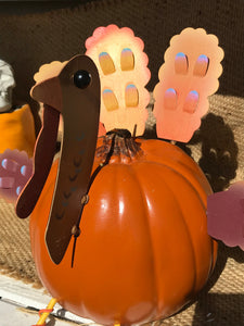 Small 3-D Thanksgiving Turkey | No carve Pumpkin Decorations