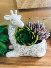 Load image into Gallery viewer, Giraffe mini ceramic planter with no drainage | succulent herb flower indoor planter pot | giraffe lover&#39;s gift