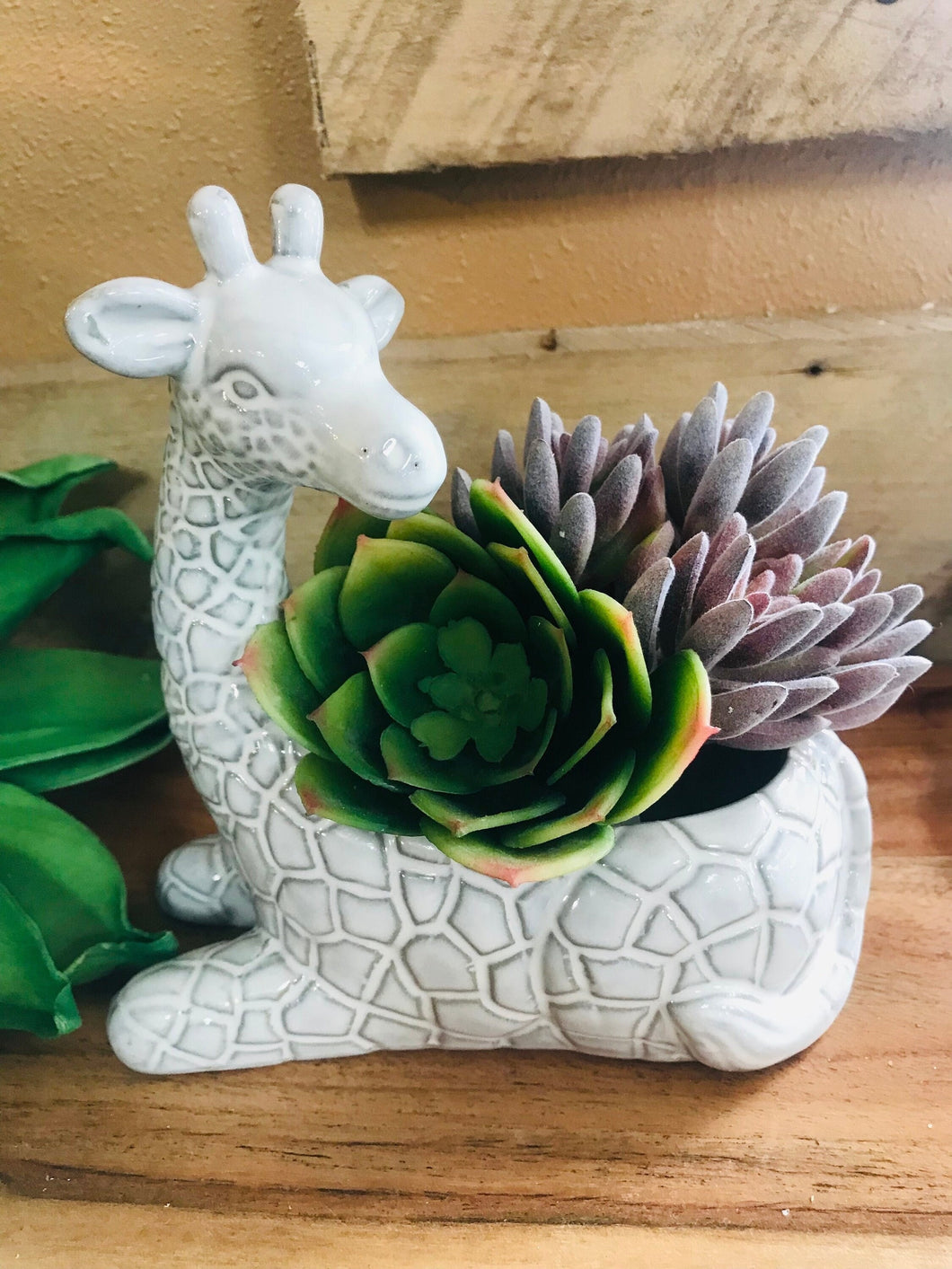 Giraffe mini ceramic planter with no drainage | succulent herb flower indoor planter pot | giraffe lover's gift