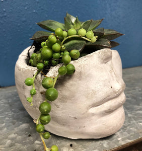 Mini 3” face head succulent planter indoor outdoor unique