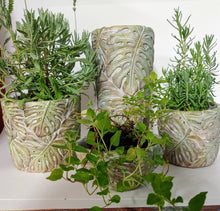 Load image into Gallery viewer, Oval concrete cement tropical monstera leaf design planter | 5.5&quot; tall | nature inspired | indoor outdoor succulent planter pot