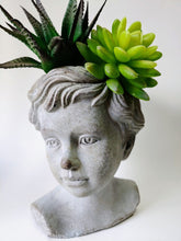 Load image into Gallery viewer, Weathered look greek boy head shaped cement planter. Indoor or outdoor ideal for succulents. 
