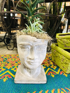 Greek man head full face planter pot unique planter | succulent planter concrete cement indoor outdoor