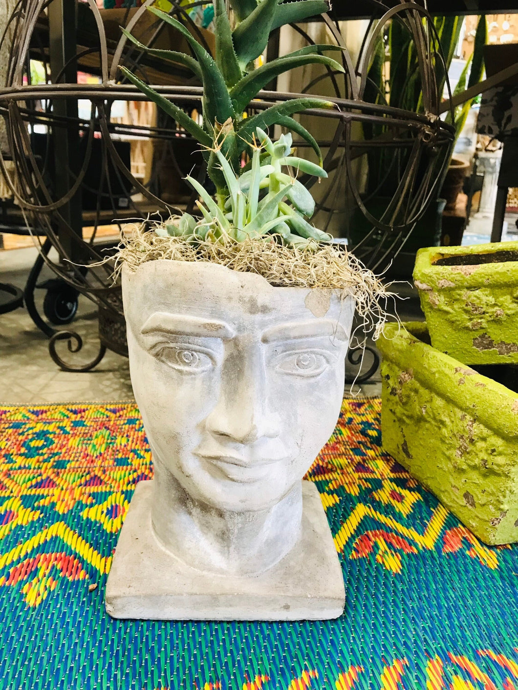Greek man head full face planter pot succulent planter concrete