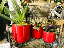 Load image into Gallery viewer, Small Rounded Modern Style Ceramic Planter Red with Black Edge and Interior