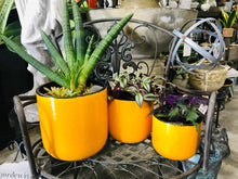 Load image into Gallery viewer, Large Rounded Modern Style Ceramic Planter | Mustard Yellow with Black Edge | Crackle Glaze